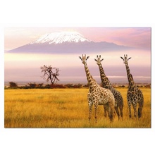 Пазл 1000 деталей - 'Национальный парк, Кения' - Увеличить...