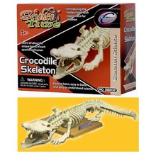 Наглядное пособие 'Скелет крокодила' - Увеличить...
