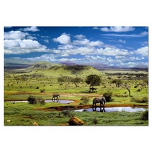 Пазл 500 деталей 'Tsavo национальный парк Кения' - Увеличить...